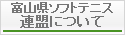 富山県ソフトテニス連盟について