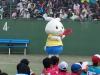 日本ソフトテニス連盟のマスコット「そふてぃー」